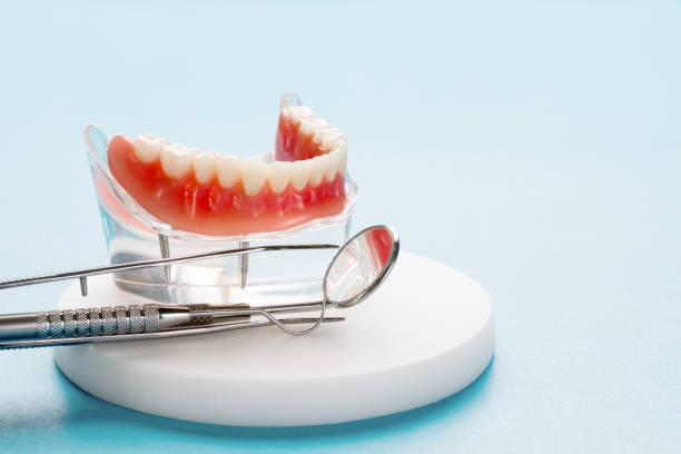 Druid Hills, GA  Holistic Dental Services Company